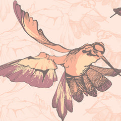 Hovering Hummingbird, Soft Sorbet