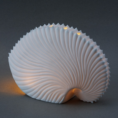 Large Paper Nautilus T-Light