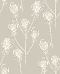 Cream Tea Teasel Wallpaper