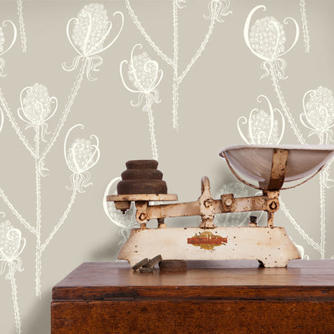 Cream Tea Teasel Wallpaper