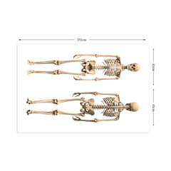 Educational Human Skeleton Wall Stickers