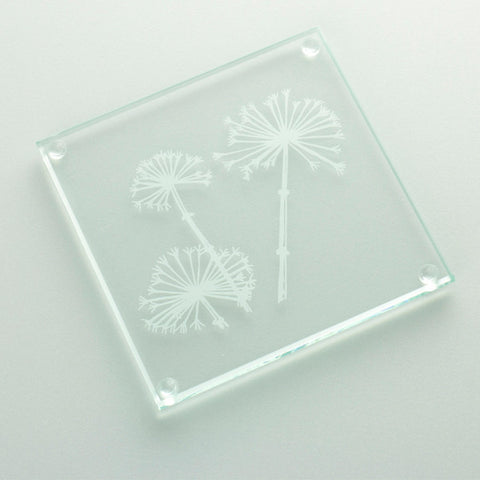 Cow Parsley Glass Coaster