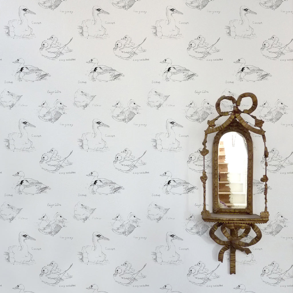 Edwyn Collins, Gannet and Gargany