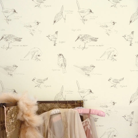 Edwyn Collins, Grey Wagtail and Dipper & Jay