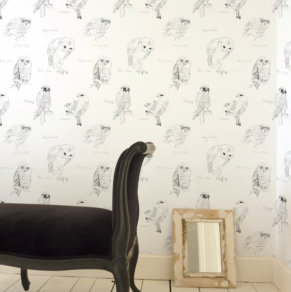 Edwyn Collins, Little Owl and Crossbill