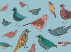 Colourful Eccentric Birds Placemats set of 4