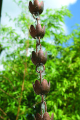 Tulip Rain Chain