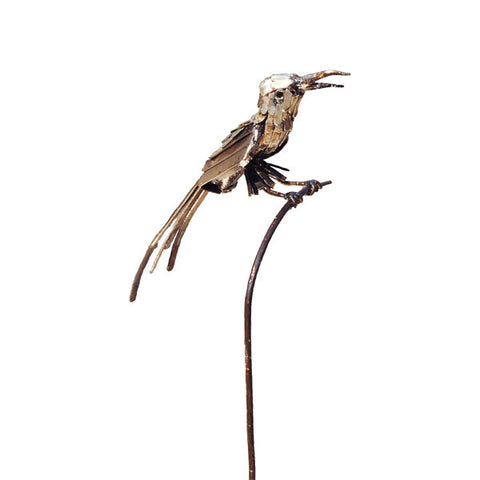 Bee Eater on a Garden Stake