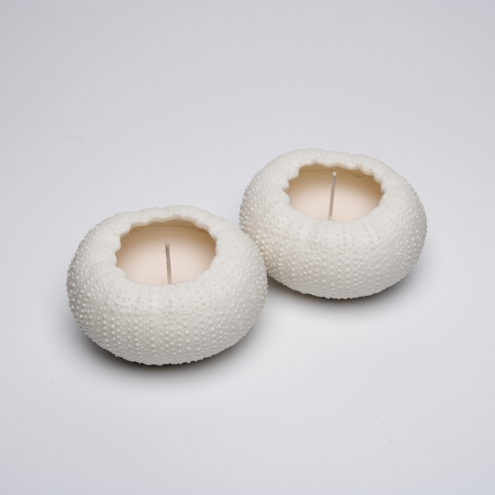 Small Rafiki Urchin Candle - set of 2