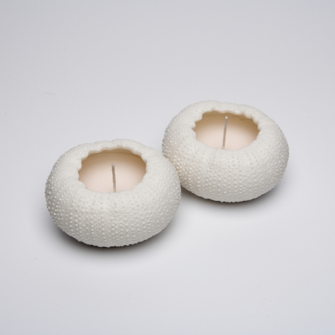 Small Rafiki Urchin Candle - set of 2