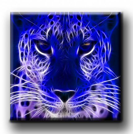 Cheetah Face (Electric Blue)