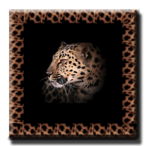 Leopard with Border (Brown)
