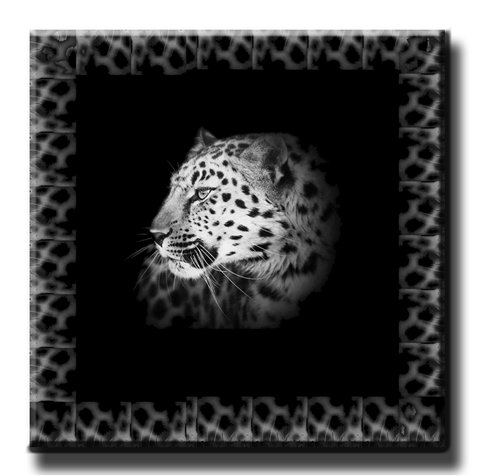 Leopard with Border (Black)
