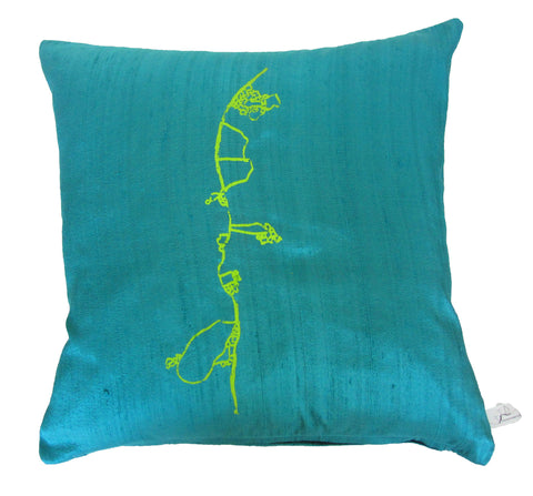 Lime on Turquoise Cushion