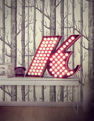 Graphic Collection Letter K Lamp