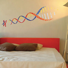 Educational DNA Wall Stickers