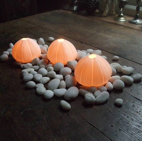 Sea Urchin T-Light - set of 3