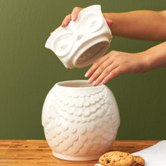 Owl Cookie Jar