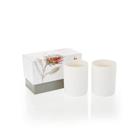 Coconut Fig Cassis Porcelain Candle - Set of 2